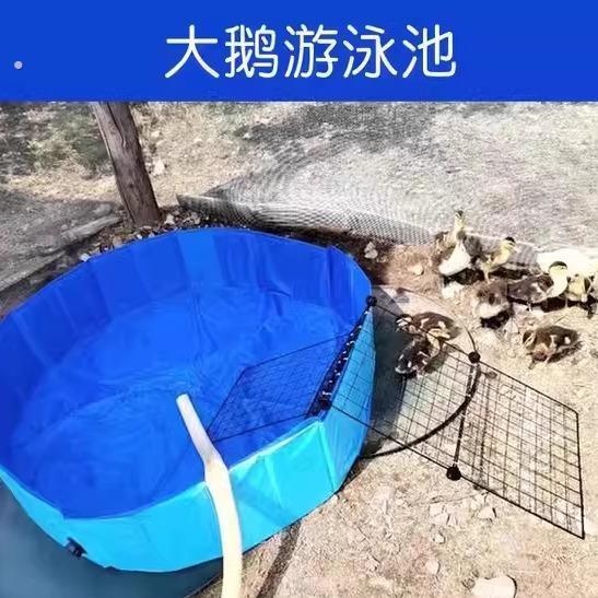 鸭子游泳水槽宠物洗澡盆可折叠大型犬专用游泳池浴缸洗澡桶猫浴盆