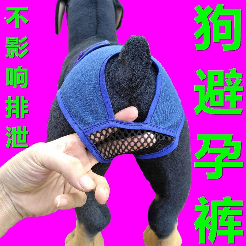 狗生理裤无影响排泄狗狗生理裤狗狗绝育裤子防公狗骚扰可水洗