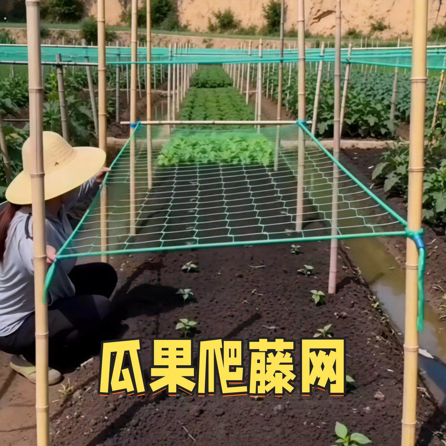 爬藤网植物攀爬网黄瓜丝瓜豆角苦瓜种植网蔬菜百香果加粗农用网格