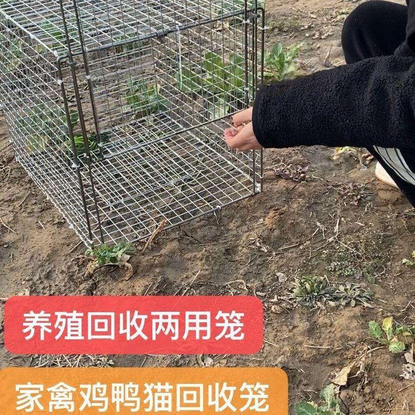 新款踏板家用鸡鸽鸭猫回收养殖笼天落笼滑门