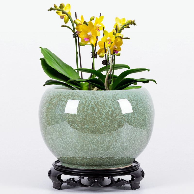 球形花盆陶瓷兰花专用盆花器多肉花盆室内花卉盆植物盆栽陶瓷花盆