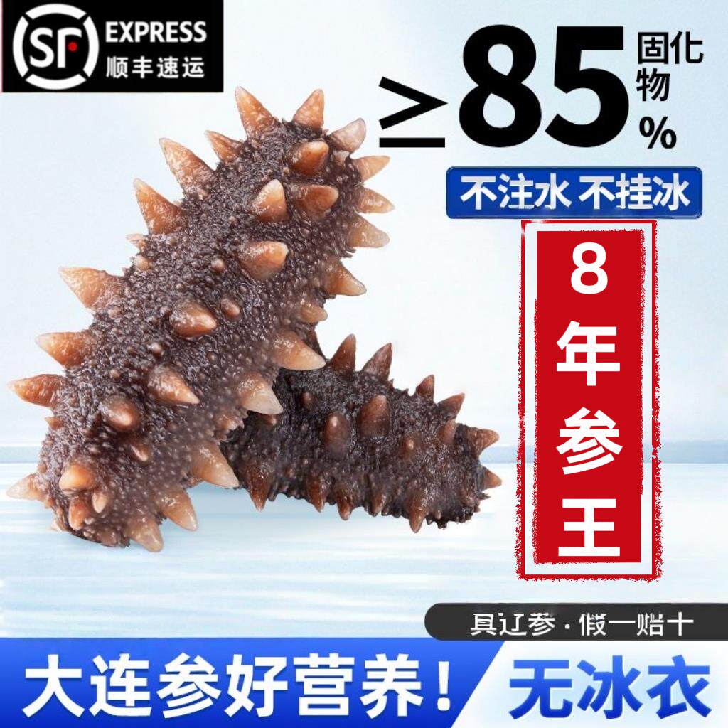大连野生海参深海底播即食海参500g鲜活辽刺参海生盒装特价包邮
