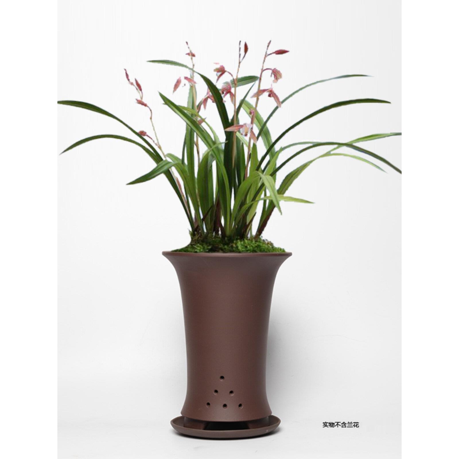 蔓木人紫砂宜兴紫砂花盆兰花盆精品手工古典素面桌面清仓建兰托盘