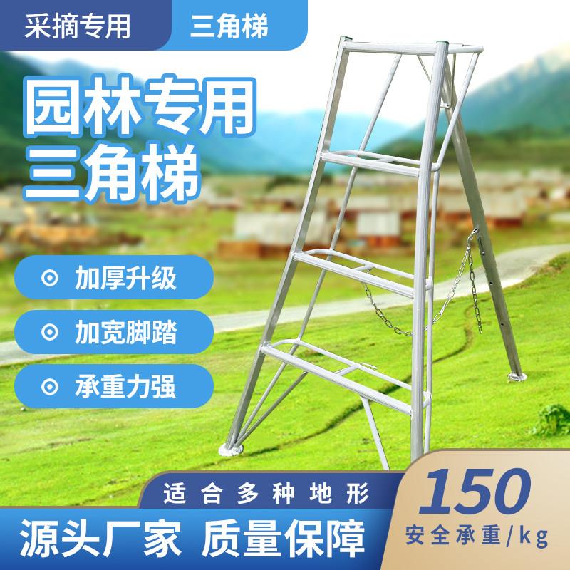 园林专用三角梯铝合金水果树采摘绿化修剪三脚梯子杨梅园艺人字梯