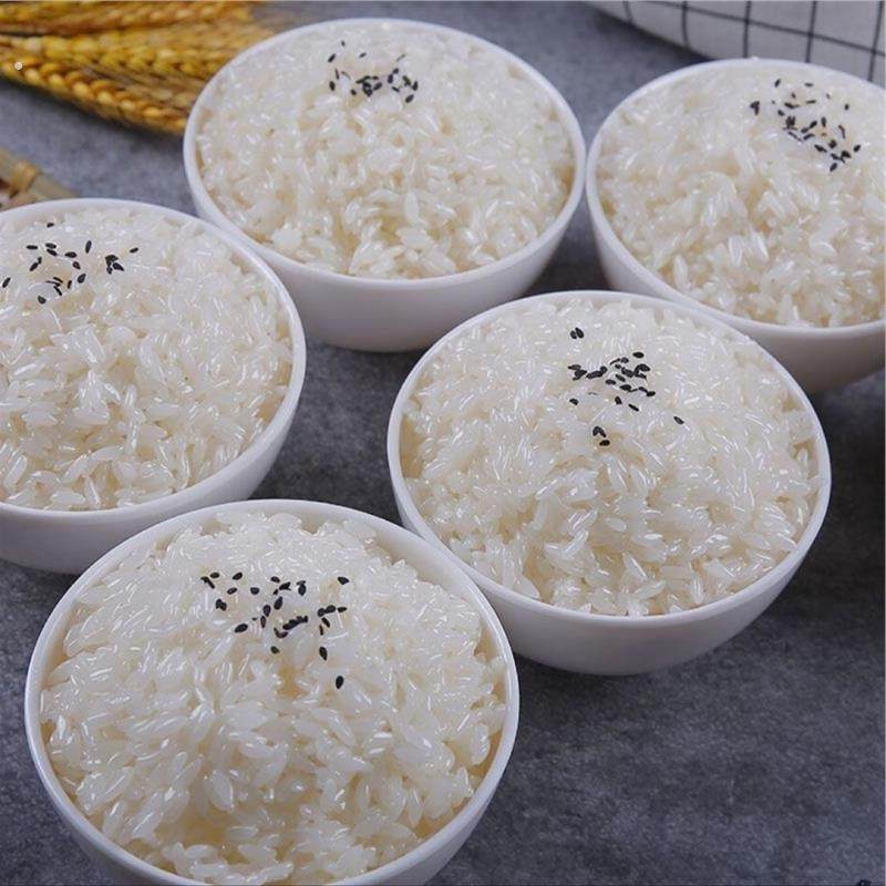 米饭段子道具假菜食品食品拍摄仿真道具拍影视仿真米饭模型模型,家居饰品,仿真水果,淘宝优惠券,粉丝福利购,淘宝优惠卷