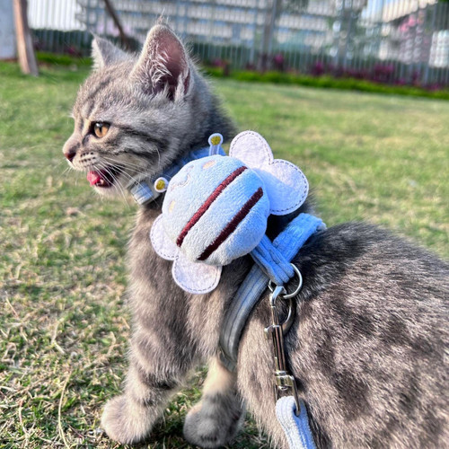 牵引绳猫咪外出专用防挣脱工字安全扣溜狗溜兔子可调节网红溜猫绳