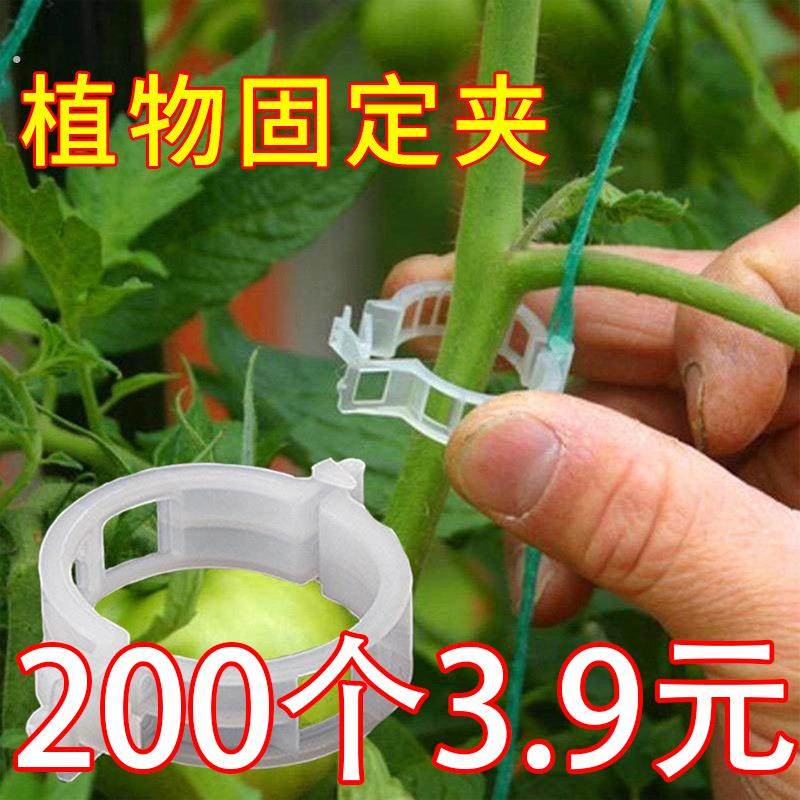 植物瓜果植物夹塑料绑蔓夹绑枝夹吊蔓夹扶蔓夹西红柿夹藤蔓固定,鲜花速递/花卉仿真/绿植园艺,其它园艺用品,淘宝优惠券,粉丝福利购,淘宝优惠卷