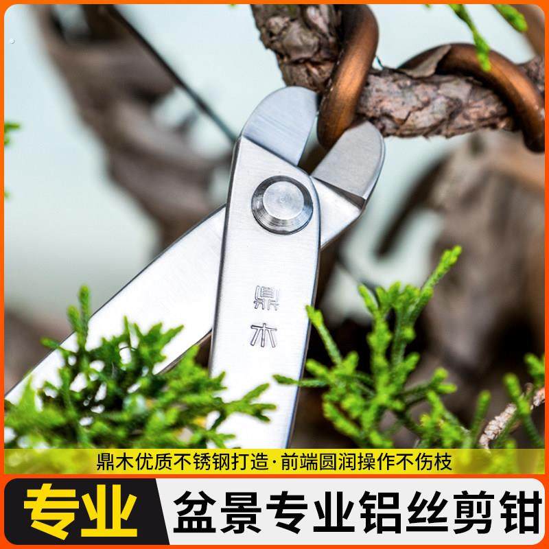 不锈钢 断丝钳 拉丝钳 盆景工具 盆景造型工具 剪铝丝 专用,鲜花速递/花卉仿真/绿植园艺,剪刀,淘宝优惠券,粉丝福利购,淘宝优惠卷