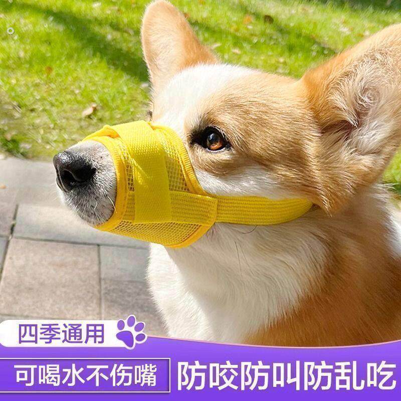 狗嘴套防咬防叫可喝水防乱吃博美防叫止吠器可调节中小型狗狗嘴罩