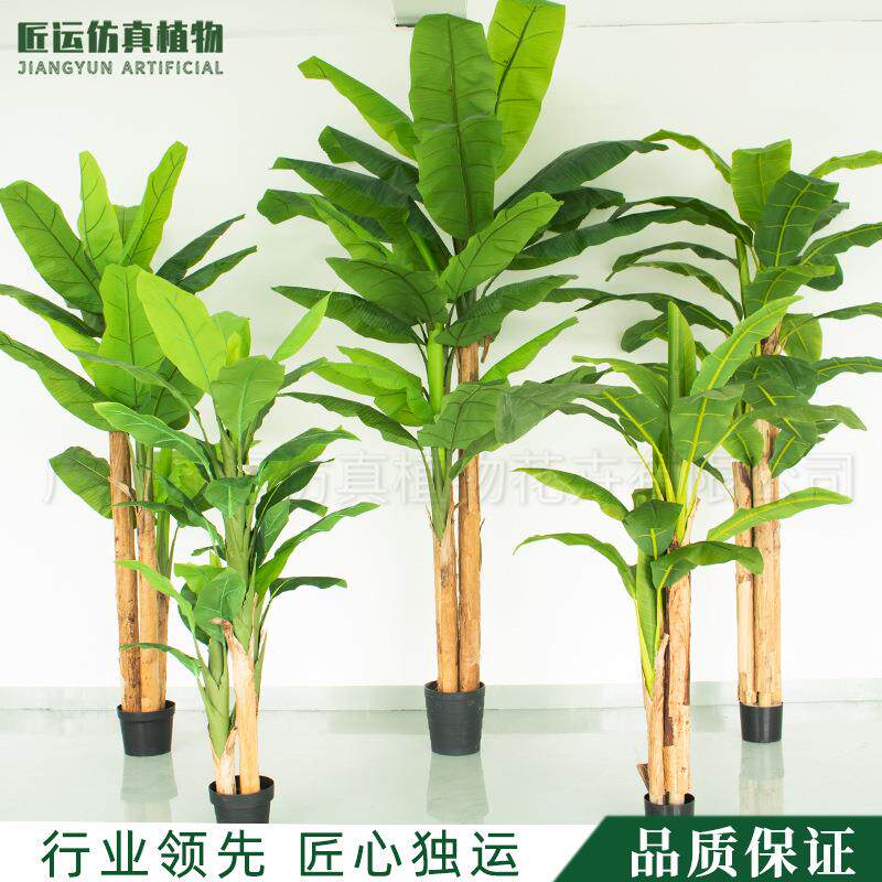 2.8米室内造景大叶植物热带雨林风仿真香蕉树芭蕉树北欧大盆景
