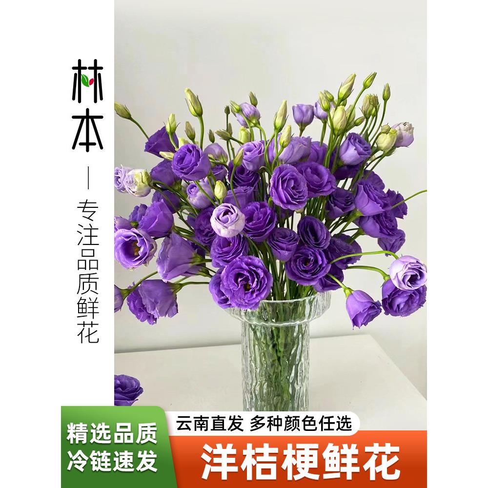 洋桔梗鲜花紫粉白绿边家用插花水养花束无刺玫瑰鲜切云南基地直发
