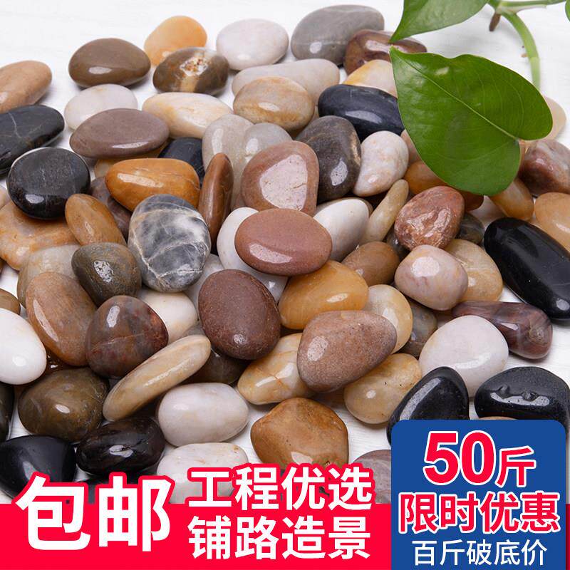 50斤天然鹅卵石别墅庭院步道铺路鱼缸底部造景五彩色雨花台原石子
