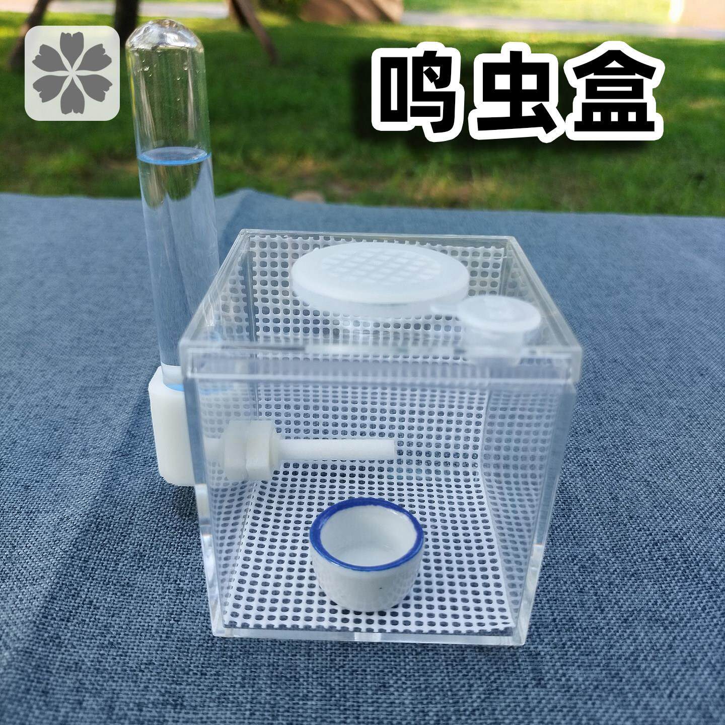 跳蛛饲养盒蜘蛛蛐蛐罐螳螂饲养盒马蛉竹蛉黄蛉带盖高透鸣虫保湿盒