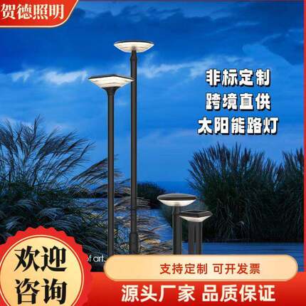 太阳能路灯市电LED户外防水小区花园别墅庭院灯跨境出口太阳能灯