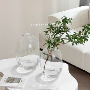 轻奢高级感花瓶摆件玻璃水培吊钟雪柳马醉木水养插花客厅落地装饰