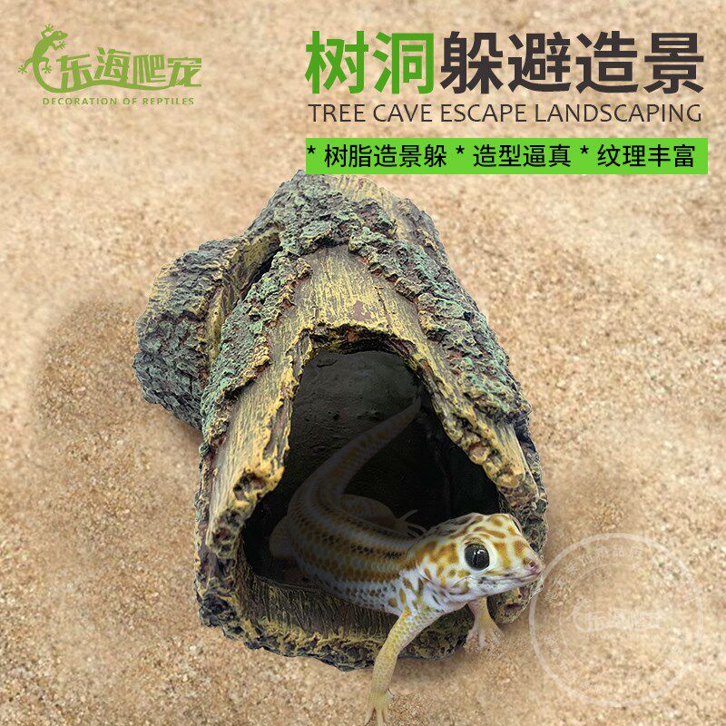 爬宠养殖箱造景爬宠躲避洞蜥蜴守宫躲避屋蝎子蜘蛛爬虫造景树皮洞
