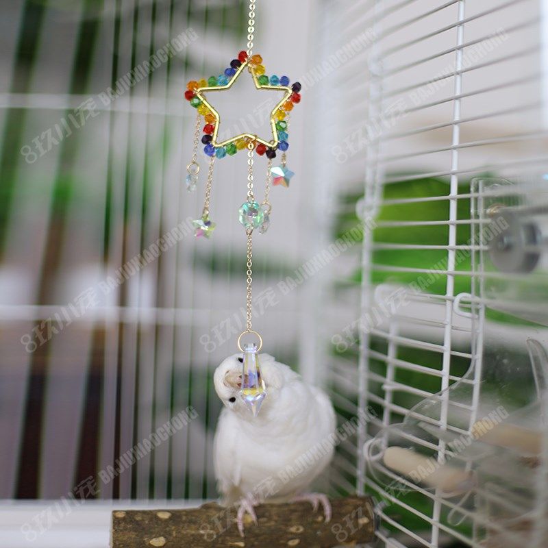 8玖-鹦鹉彩虹啃咬玩具阳光炫彩耐啃咬吊环小鸟攀爬鸟笼装饰站杆,宠物/宠物食品及用品,鸟玩具,淘宝优惠券,粉丝福利购,淘宝优惠卷