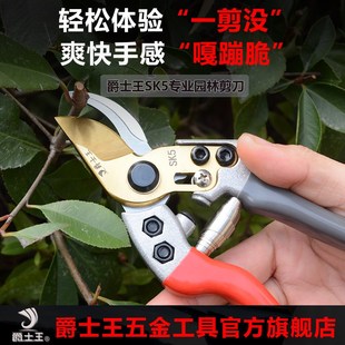 爵士王园林剪刀修剪树枝工具果树剪园艺剪子工具花卉花艺专用剪刀