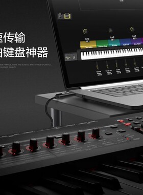 专用芯片五针midi线2米   USB转MIDI连接线 MidiPort电子鼓电子琴
