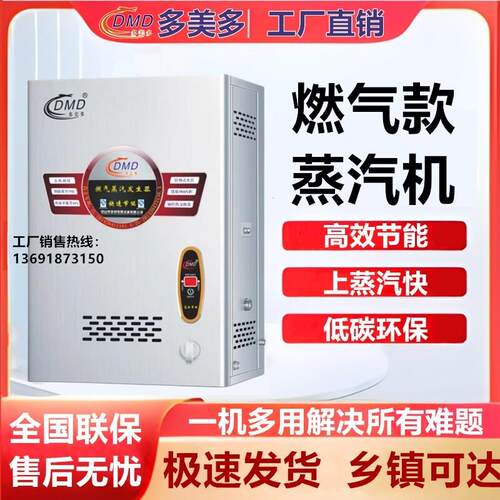 多美多燃气蒸汽机壁挂墙式蒸汽发生器DMD-B-RZQ-50-60-70-80-100