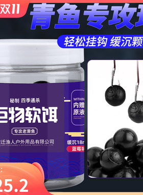 钓青鱼珠珠子硅胶软饵料大物颗粒黑坑巨物浮水缓沉水红烧肉蓝莓味