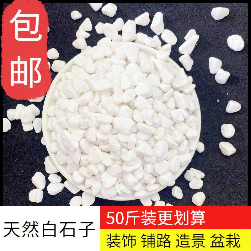 福建水培白石子天然鹅卵石雨花石白色石头水族箱鱼缸造景郁金香