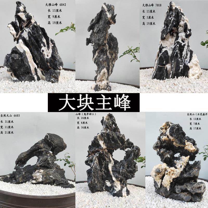 酸洗青龙石 造景石 鱼缸造景石头水陆草生态鱼缸造景盆景假山装饰
