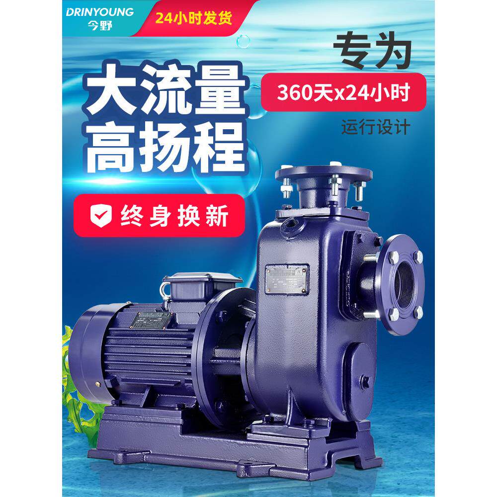BZ自吸泵卧式管道离心泵380V大流量高扬程灌溉水泵三相增加循环泵