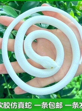儿童玩具白蛇传说影视道具小青小白娘子白色软胶蛇仿真假蛇模型