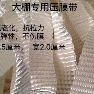 温棚加宽立柱水暖弹力压膜带防渗膜米白色拉力织带地面无固定大棚