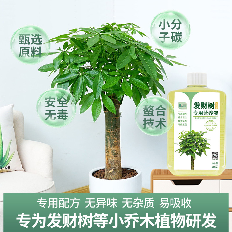 发财树营养液专用肥料治黄叶掉叶室内盆栽植物喷叶浇根土水培通用,鲜花速递/花卉仿真/绿植园艺,介质/营养土,淘宝优惠券,粉丝福利购,淘宝优惠卷
