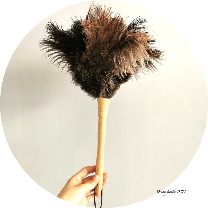 鸵鸟毛掸子清洁毯子圆头不掉毛鸡毛扫灰神器羽毛扫把钢琴清洁扫把,家庭/个人清洁工具,除尘掸,淘宝优惠券,粉丝福利购,淘宝优惠卷