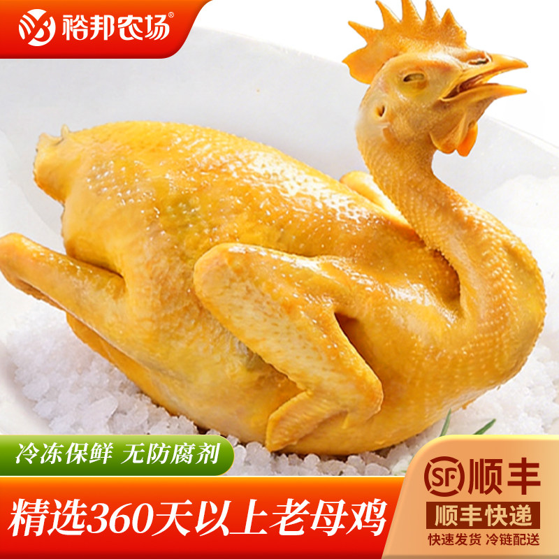【顺丰包邮】正宗广东盐焗鸡梅州客家特产卤味熟食白切白斩整鸡