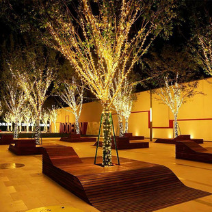 挂树上的彩灯闪灯串灯满天星户外装饰缠树灯led夜景树灯绕树灯带