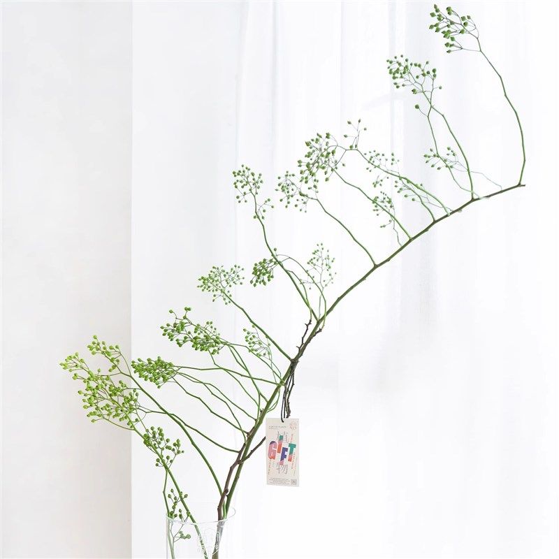 山归来蔷薇果水养鲜切枝条年宵花家用中日式造型装饰插花云南包邮,鲜花速递/花卉仿真/绿植园艺,花材,淘宝优惠券,粉丝福利购,淘宝优惠卷