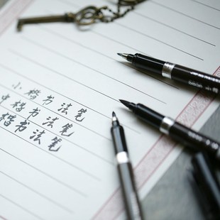 包邮 中柏书法笔小楷中楷大楷秀丽笔SB63软笔/签字笔/签到笔/毛笔