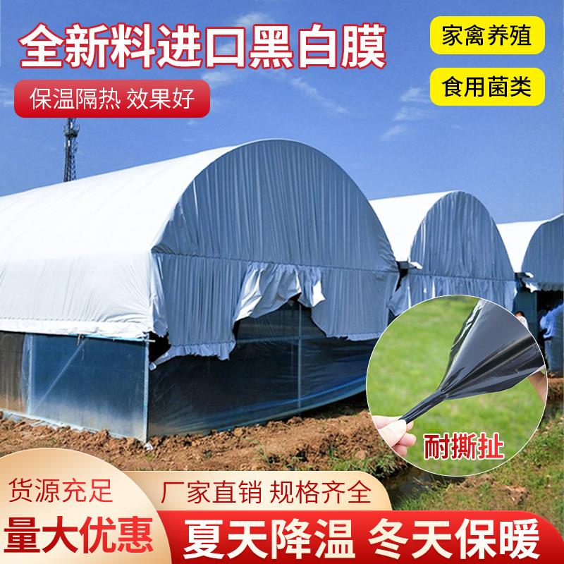 进口养殖防晒加厚大棚黑白膜隔热保温鱼塘防渗反光膜塑料膜遮光膜