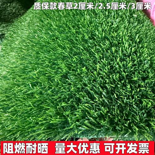 仿真草坪春草人造地毯草皮商场学校幼儿园庭院装饰草皮绿色草垫子