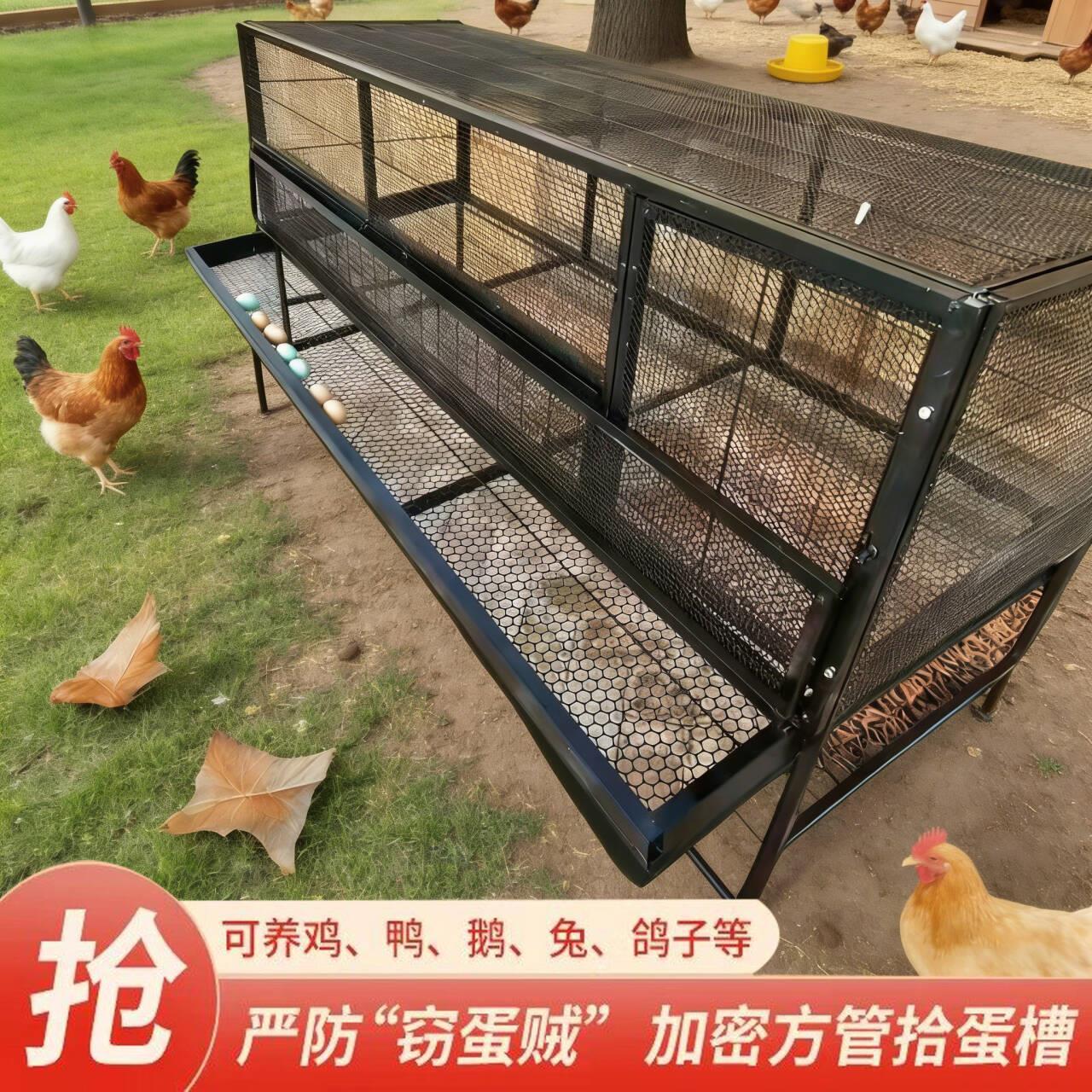 鸡笼子室外防生锈家用防黄鼠狼大号防雨养鸡笼养殖笼滚蛋收蛋鸡舍