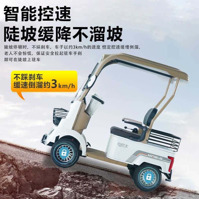 小巴士老年代步车电动四轮车接送孩子老头乐观光车电瓶车A2电动车