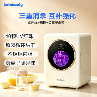 奶瓶消毒柜婴儿宝宝专用