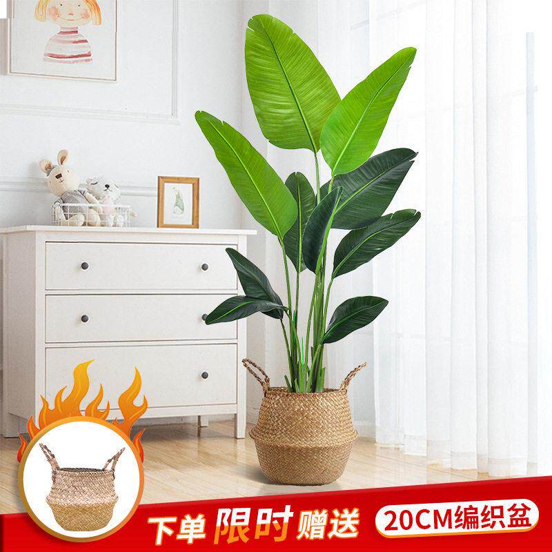 旅人蕉彷真绿色植物物室内盆栽大型彷生花假树轻奢客厅彷真树落地