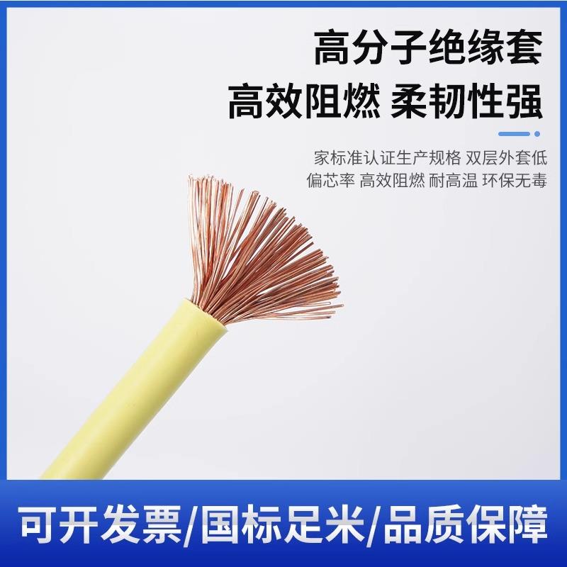 国标BVR单股软电线电缆10 16 25 35 50 7095平方铜芯线纯铜双并联