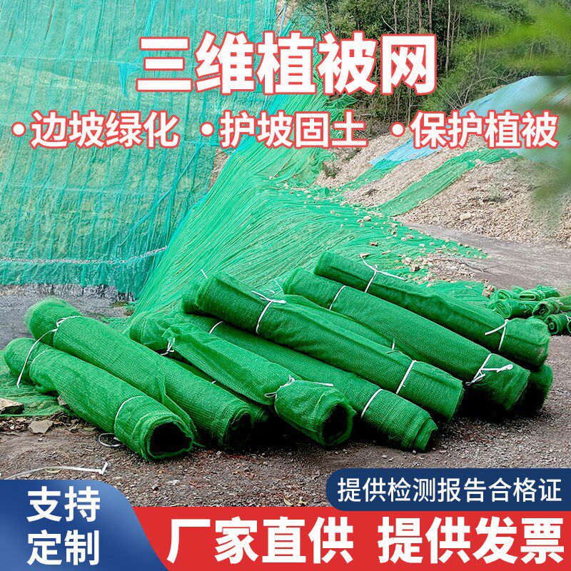 三维植被网绿化植草网边坡固土三维土工网垫护坡生态绿色植被网