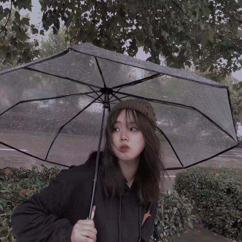 全自动折叠伞透明雨伞三折伞男女生清新网红拍照伞高颜值加厚耐用