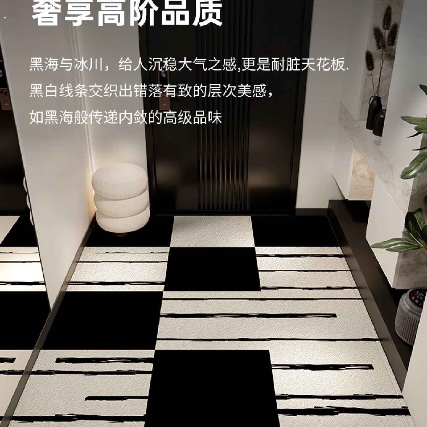高级入户门地垫门口地毯黑白门垫家用脚垫可裁剪免洗防滑进门新款