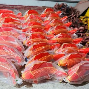 手持鱼灯大型非遗鱼灯发光传统手工灯笼金鱼拍摄道具花灯定制