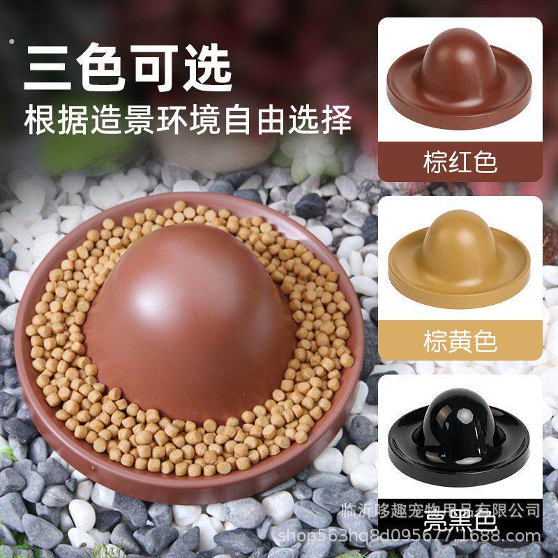 乌龟喂食盘黄缘龟食盆水盆乌龟喂龟缸