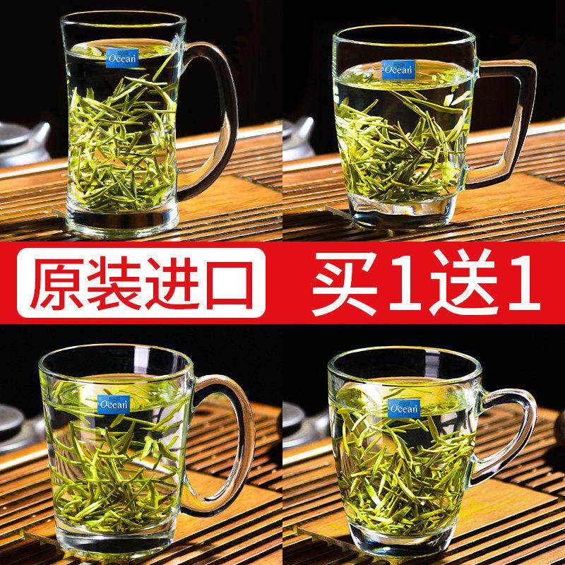Ocean进口玻璃茶杯泡茶杯带把套装家用待客水杯加厚大容量喝绿茶