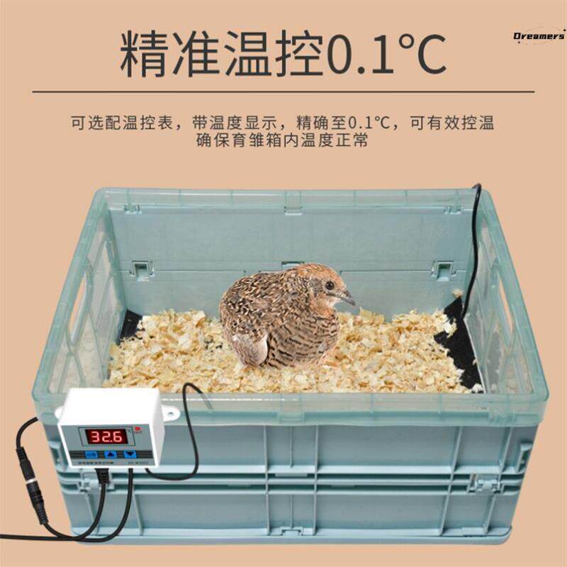 鹦鹉过冬保暖箱小鸡刺猬芦丁鸡爬宠恒温饲养箱幼鸟半毛幼鸟保厂家